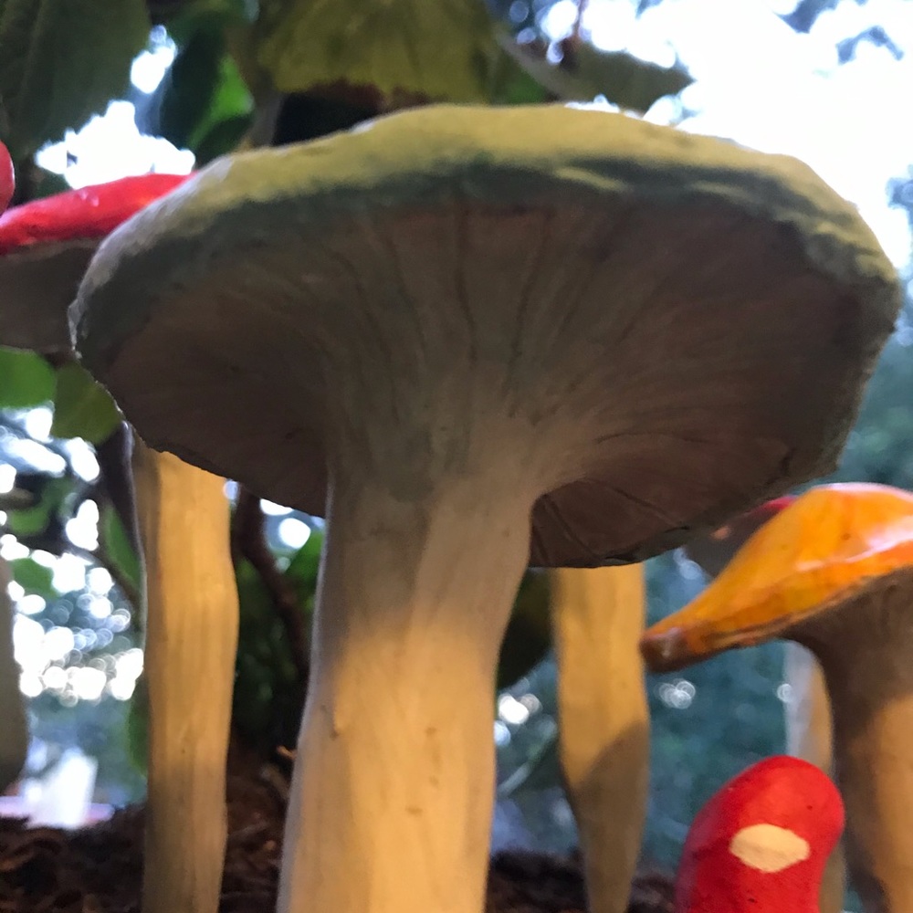 [1] HANDMADE MUSHROOM GARDEN STAKE! 🍄 Bundle & chat - Picture 10 of 14